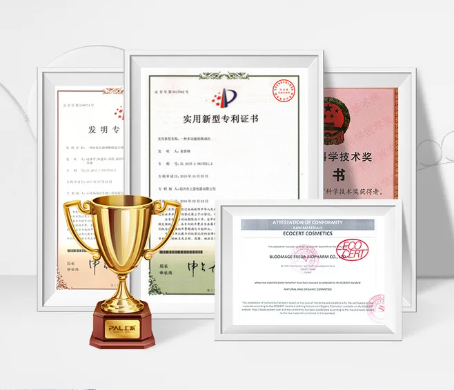 上派2021年度奖项回顾