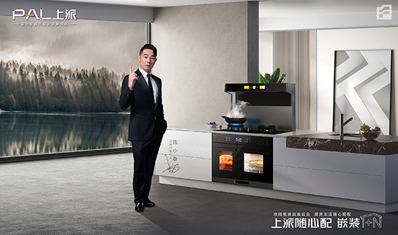 上派嵌装集成灶——让您的厨房安全无忧