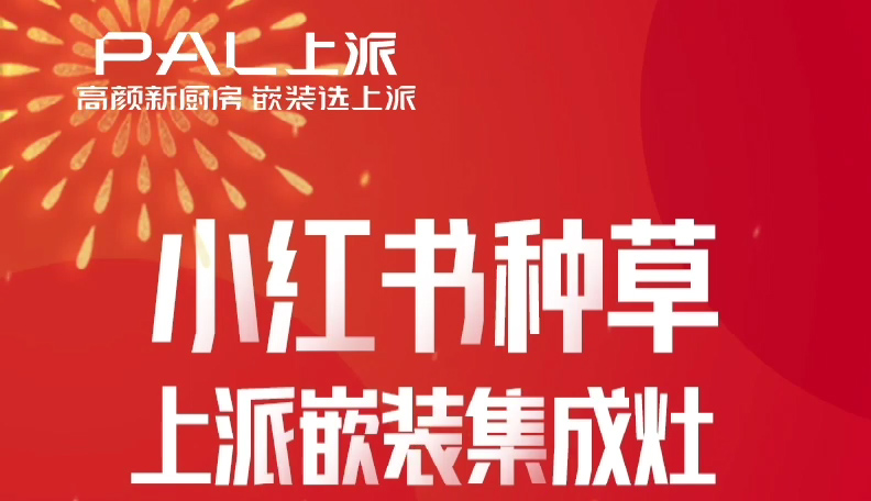 小红书种草上派嵌装集成灶