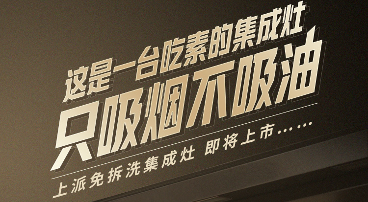 这是一台吃素的集成灶，只吸烟不吸油