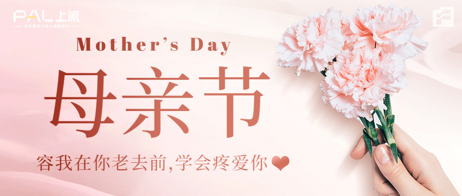 望岁月温柔以待，爱绵绵无期 / 上派电器祝福所有母亲，节日快乐！