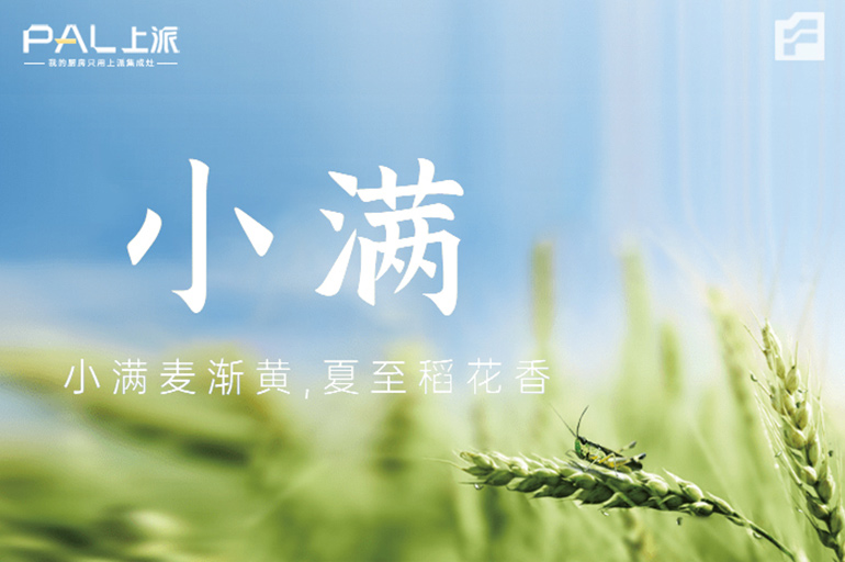 小满遇见520 /三餐可依 幸?？善?