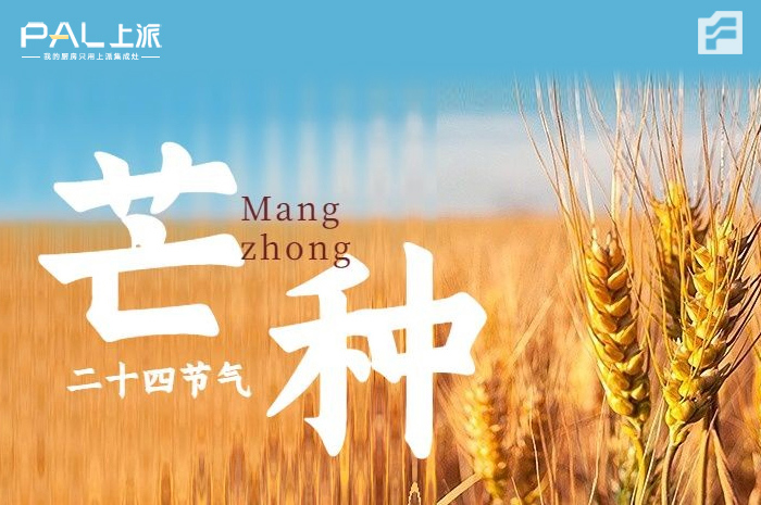 芒种时节，播种希望 / 理想起航，上派相伴！