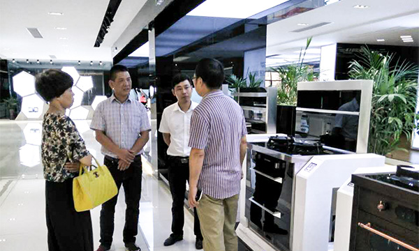 树行业典范，促企业发展——热烈欢迎浙江省企业局专家组莅临上派