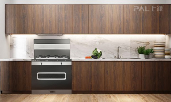 腾飞源于高品质品牌——上派集成灶“质造未来”